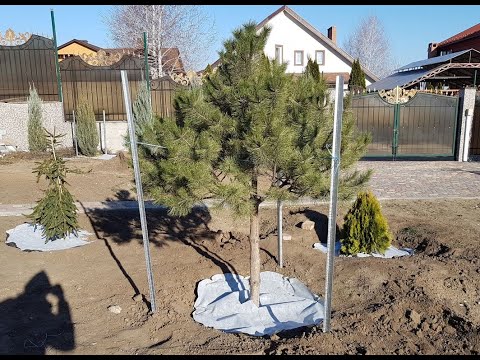 Столб для забора металлический (h=2,725м; Zn=320 г/м2), У-сечение, ТМ Казачка, видео 6