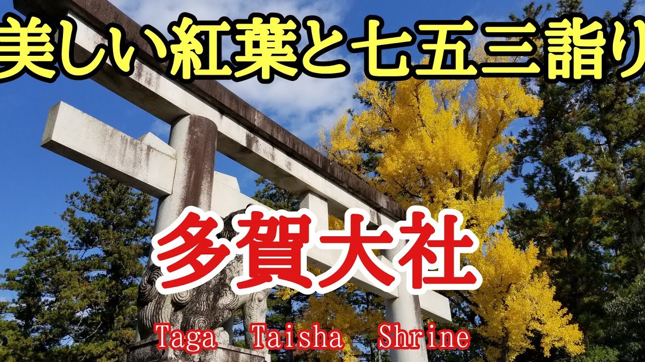 21年11月15日美しい紅葉と七五三詣り 多賀大社 紅葉 金運 滋賀県犬上郡多賀町にあるお伊勢参らばお多賀へ参れ お伊勢お多賀 の子でござる と古くより謳われてきた多賀大社に行って来ました Youtube