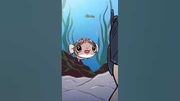 Porcupine Puffer 🦔🐡 #animation #original #cartoon