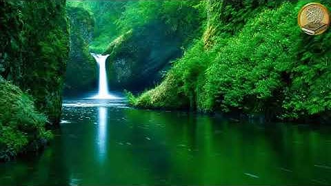 Surat Ghafir Cheikh yassine aldjazairi سورة غافر بصوت الشيخ ياسين الجزائري