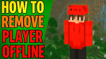 How to Remove Player Offline in Minecraft bedrock.