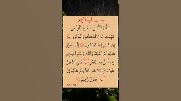 #القرآن_الكريم #تلاوة_خاشعة #سورة_البقرة