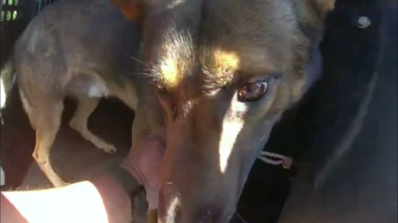 What does the job entail when you work at the Okaloosa County Sheriff's