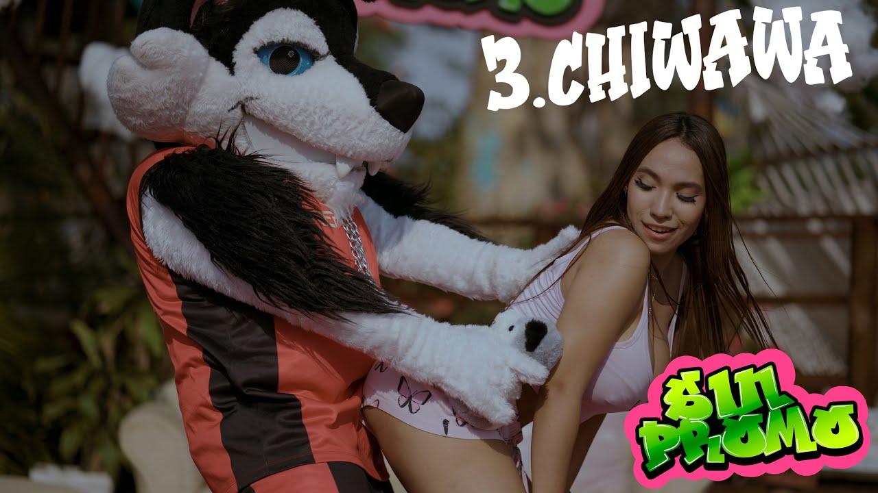 Watch 3 - CHIWAWA | EL PEPO | SIN PROMO (VISUALIZER) on YouTube Watch 3 - CHIWAWA | EL PEPO | SIN PROMO (VISUALIZER) on YouTube