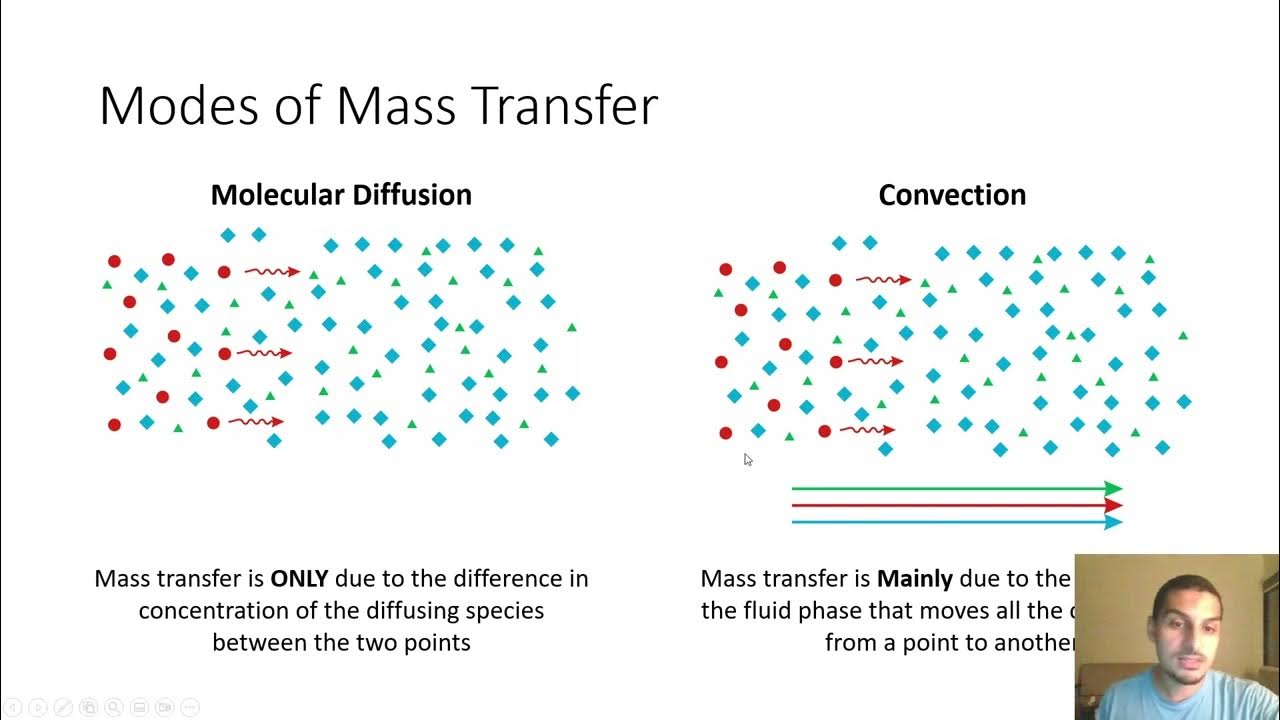 mass-transfer-in-english-07-modes-of-mass-transfer-youtube