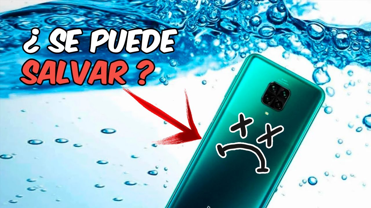 Como salvar cualquier CELULAR si se MOJA - YouTube