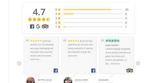 WP Review Slider Pro - WordPress Plugin