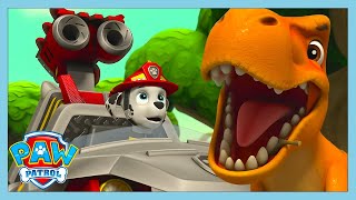 dino dentist paw patrol wildbrain kids