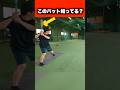 このウレタンバット知ってる? #草野球 #野球 #バット #レガシー #プロ野球