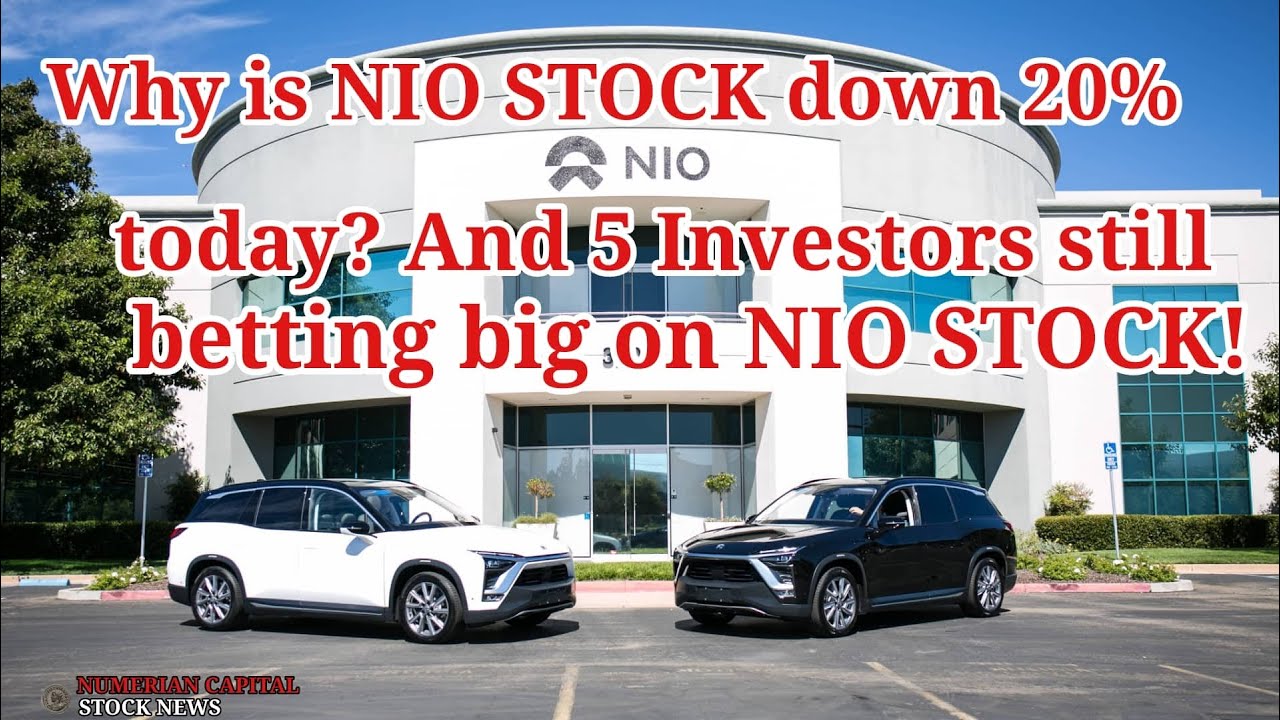 Why Is NIO Stock Down 20 Today? And 5 Investors Still Betting Big On
