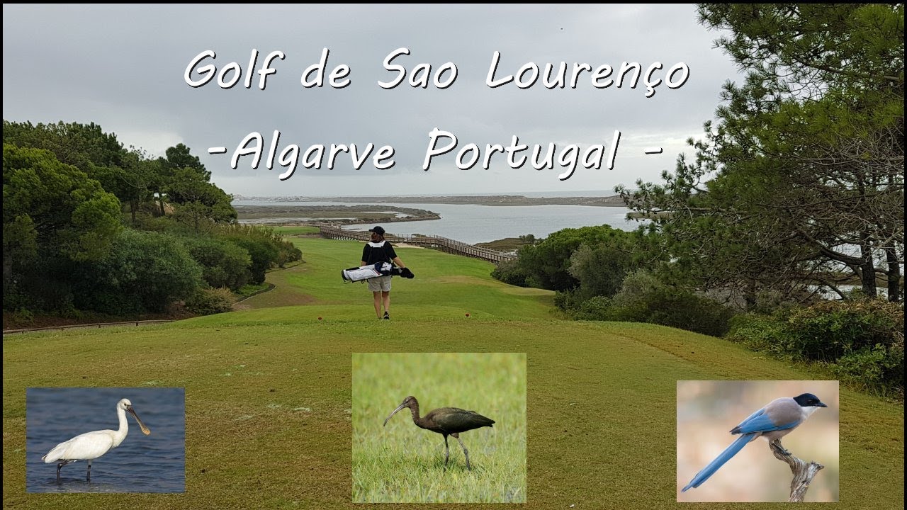 Portuguese links  -  golf de San Lorenzo