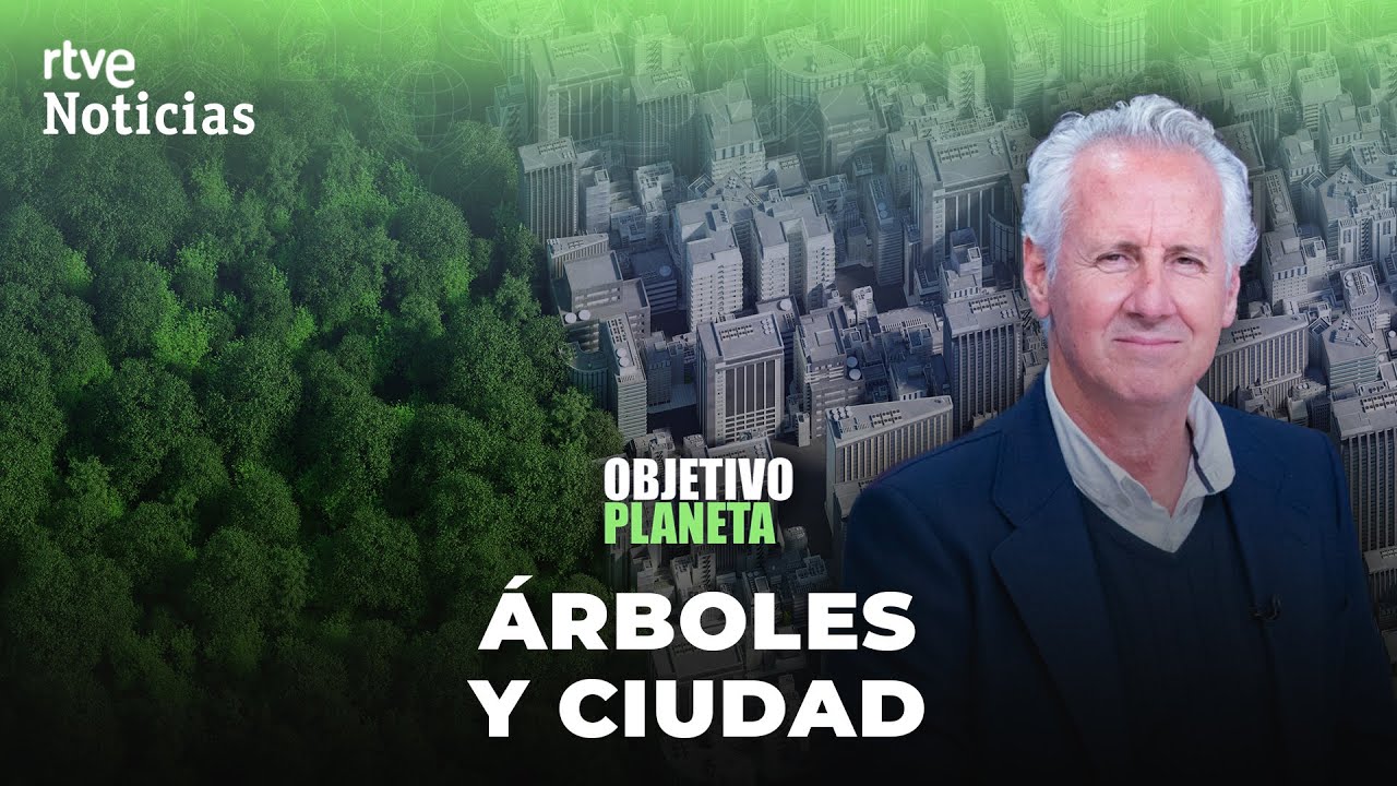 OBJETIVO PLANETA: LORENZO MILÁ y los BENEFICIOS de los ÁRBOLES URBANOS | RTVE Noticias