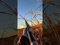one duck, one shot, perfect timing #duckhunt #duckhunting #hunting #duck #shorts #ytshorts