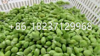 green mung bean dehulling machine soya beans cover sheller machine pigeon pea shelling machine