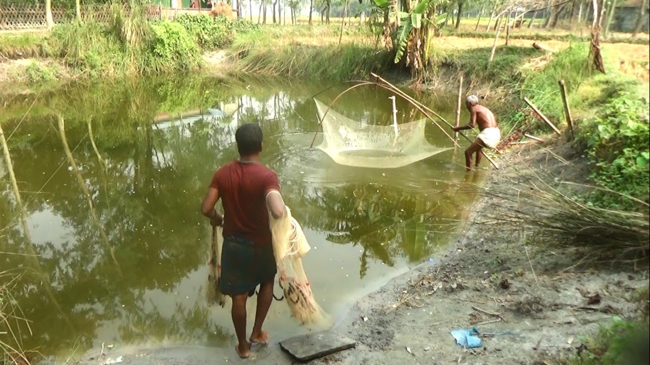 Fish Catching With Net Best Fishing video Fishing in village pond