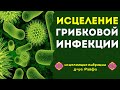 Квантовое Исцеление от Грибковых Инфекций Лечебными частотами д-ра Райфа🔆Исцеление звуком