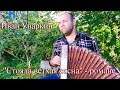 Песня под гармонь "Стояла ветхая сосна". Поёт Иван Уваркин. Russian folk song