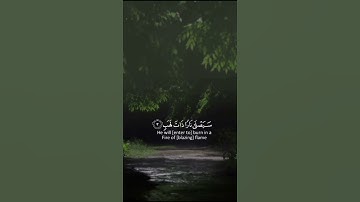 Rizgar bin Ahmad بصوت القارئ رزكار  احمد سورة المسد