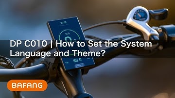 DP C010 | How to Set the System Language and Theme?