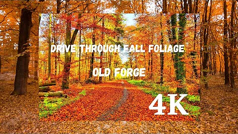 Scenic drive through Fall Foliage | Old Forge | Adirondack Mountains | NY | 4K