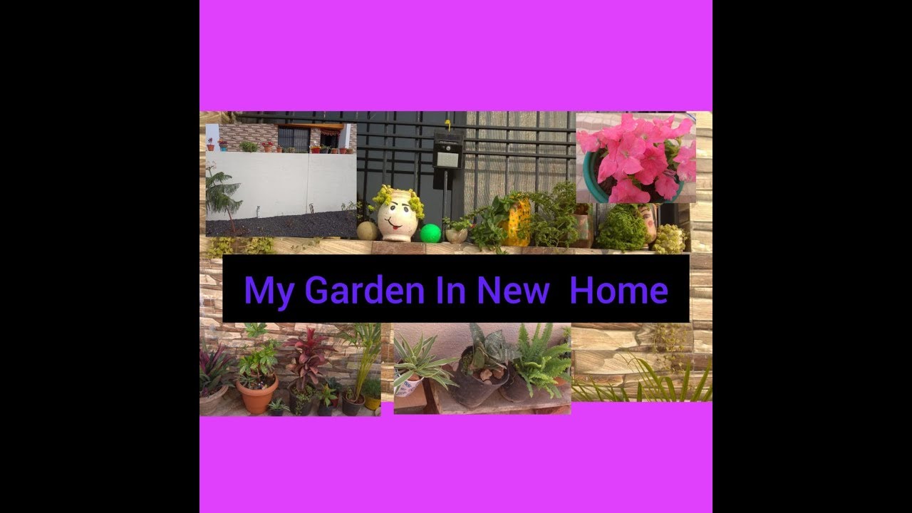 My Garden in new home/Garden overview/Our Gardening Experience YouTube