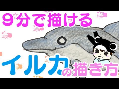 いろいろ いるか イラスト 簡単