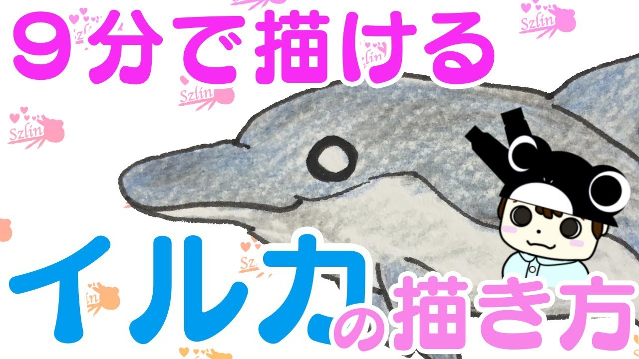 海の生き物 シロイルカの描き方 Youtube