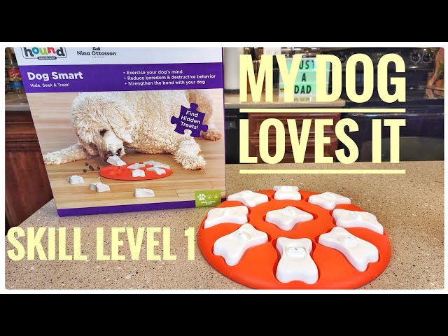 REVIEW NINA Ottosson Outward Houd Dog Smart Orange Interactive Treat Puzzle  Dog Toy Level 1 
