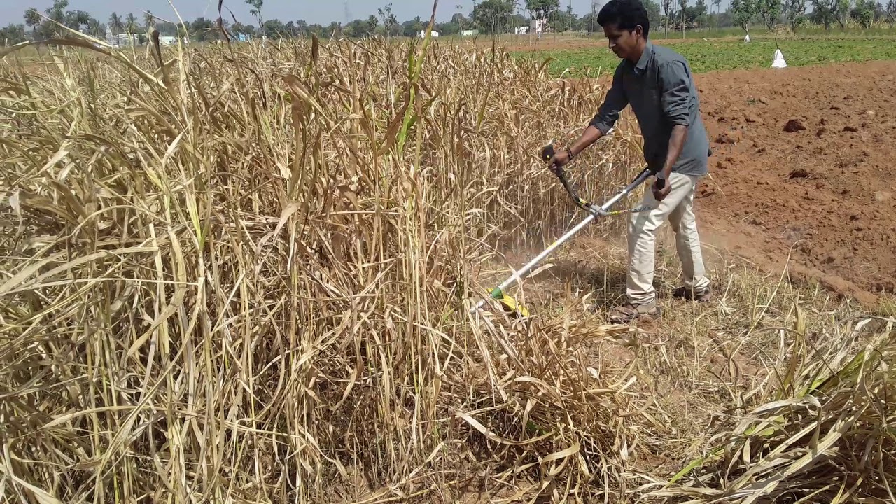 Kisankraft Bc 8640 Kk Bc 8640 Brush Cutter kisankraft Karuppusamy kisankraft-bc-8640-kk-bc-8640-brush-cutter-kisankraft-karuppusamy