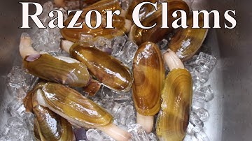 How To Clean Razor Clams With Linda