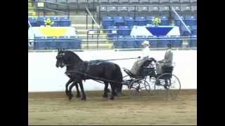 2014 Ifsha World Class 228 Carriage Pls Driving Working Championship Joni Kuhn