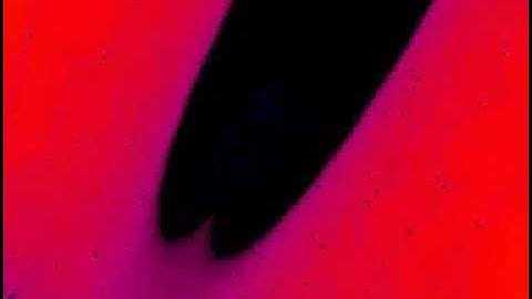 Fractal Tree In Burning Ship