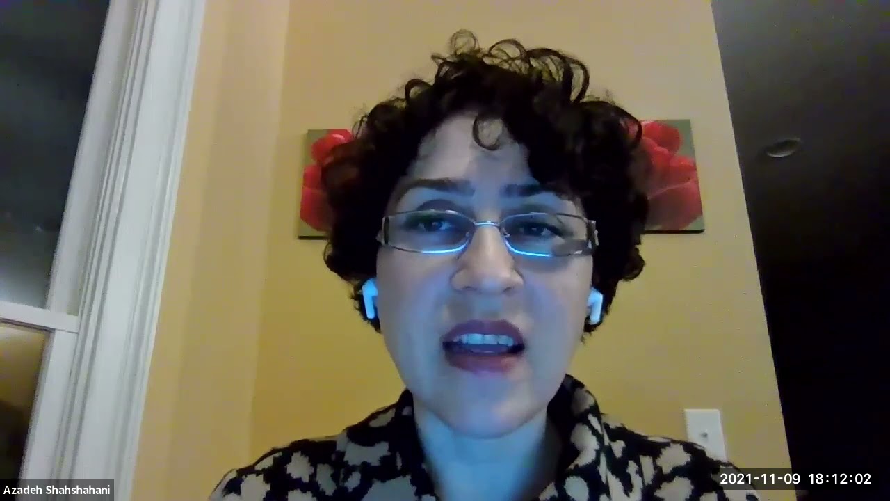 Tell Me How Detention Abolition Begins: A Conversation with Azadeh Shahshahani