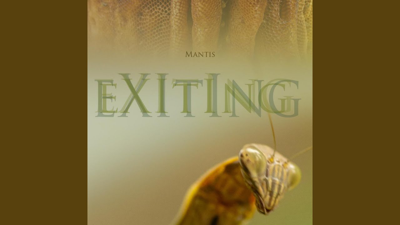 Tonton Work Study di YouTube Tonton Work Study di YouTube