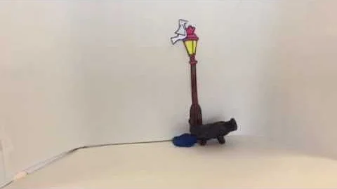 Cat Animation St. Clare's Hospice Daycare and Sher...