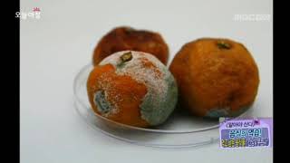 MBC오늘아침 아플라톡신20140224