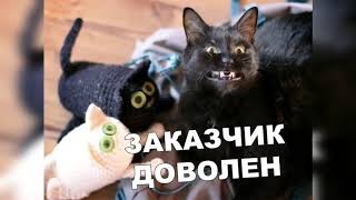 ЛУЧШИЕ ПРИКОЛЫ 2019 / Сентябрь / №5 / ржака /угар / ПРИКОЛЮХА / юмор