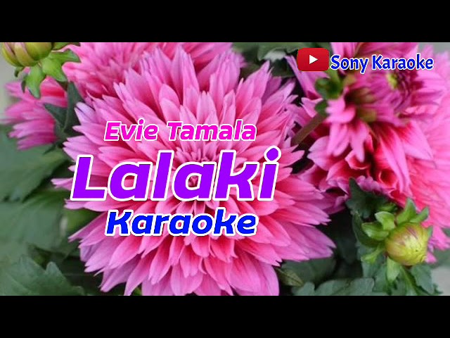 LALAKI || EVI TAMALA || KARAOKE SUNDA || @sonykaraokeofficial class=