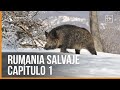 Rumania Salvaje Capítulo 1 | Iberalia GO!