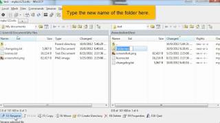 FTP - Managing files in WinSCP