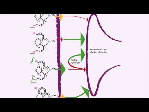 Video: Hva Du Trenger å Vite Om Morfinbivirkninger