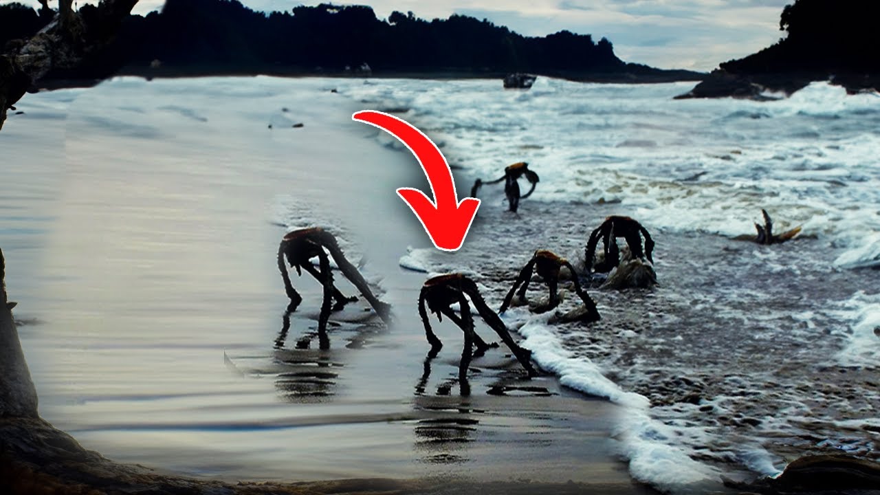 Scientists Announced Something Terrifying After They Discovered This ...
