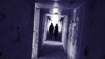 Vioflesh - I Miss Us (Official video)