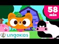 Old MacDonald Had a Farm & More Animal Songs for Kids 🐄 🚜| Lingokids