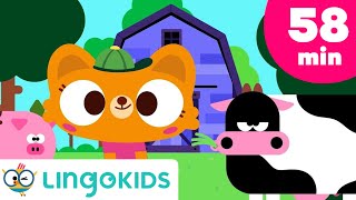 Old MacDonald Had a Farm & More Animal Songs for Kids  | Lingokids