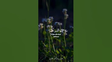 إن الله وملائكته يصلون على النبي يا أيها الذين آمنوا صلوا عليه وسلموا تسليما | القارئ قادر الكردي
