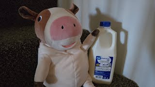 Morisaka Global Large Cow Plush Toy Review