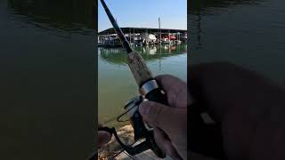 Bass Fishing #bass ##fishing #bassfishing #outdoors  #bankfishing #googan #bug #googanbaits #fyp