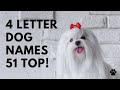 🐶 4 Letter Dog Names 51 SHORT 🐾 TOP 🐾 CUTE 🐾 Ideas | Names