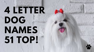 🐶 4 Letter Dog Names 51 SHORT 🐾 TOP 🐾 CUTE 🐾 Ideas | Names by Names 5,908 views 2 years ago 3 minutes, 22 seconds